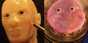 Smiling Robotic Face Made of Living Skin